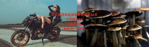 гашишное масло Козловка