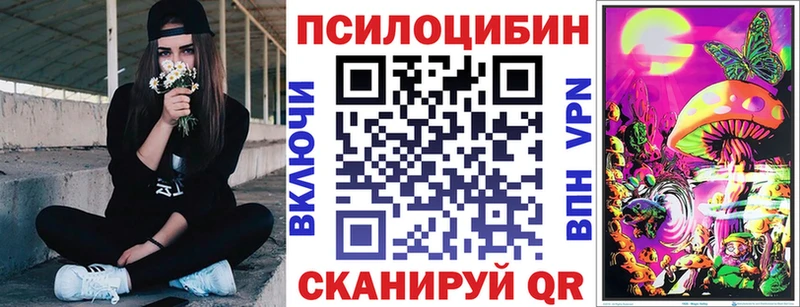 Галлюциногенные грибы Psilocybe  Купить закладки  Снежинск 